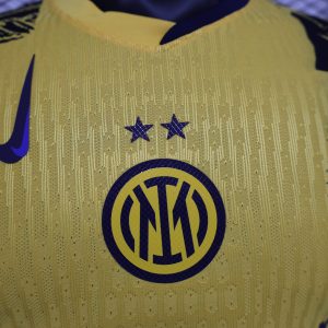 客场黄2 2024-25 Serie A Inter Milan Away Football Jersey Top Player Version yellow